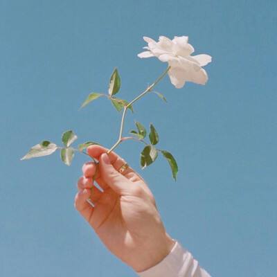 三英逗曹操官方下载