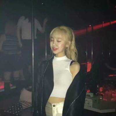 宠物魔法手游下载