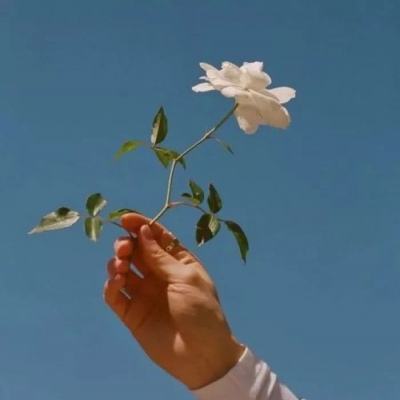 带回家手游下载